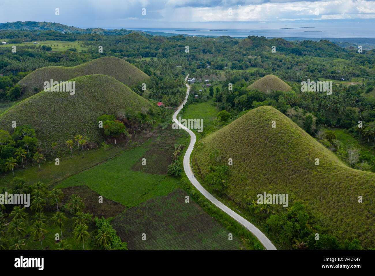 Aerial drone view of the unique landscape of the "Chocolate Hills" area