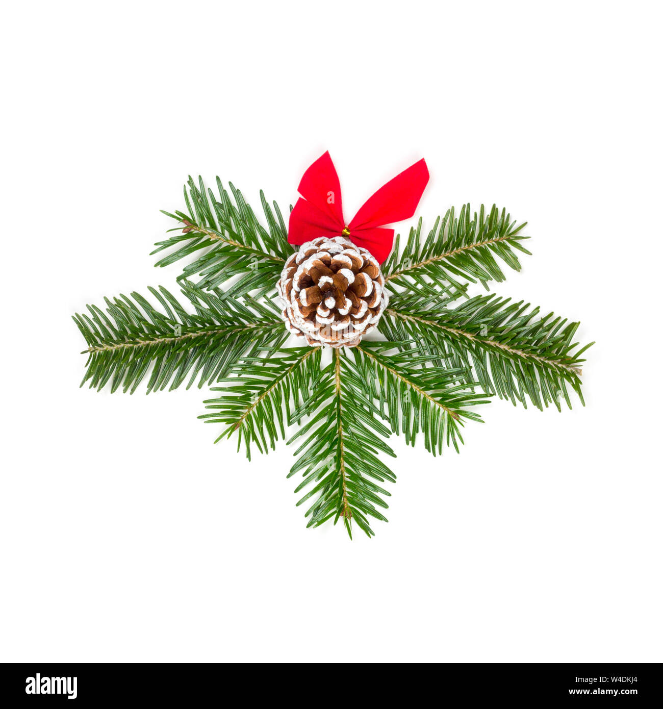 Christmas composition of fir branches of red bow and pine cone isolated ...