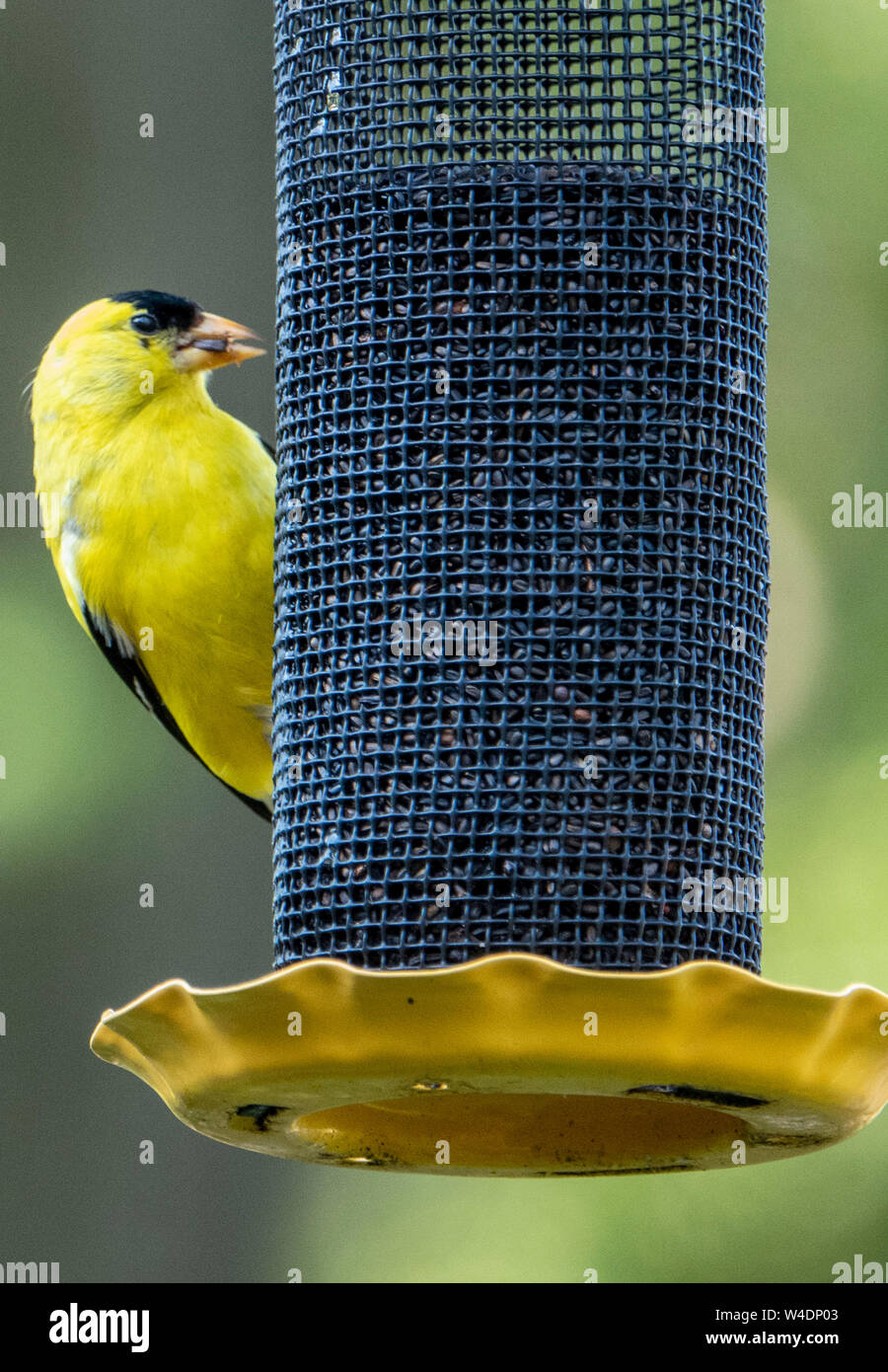 Inward Looking High Resolution Stock Photography and Images - Alamy