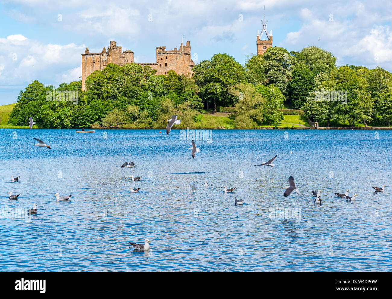 Linlithgow Loch and Linlithgow Palace, with guls, Scotland, UK Stock