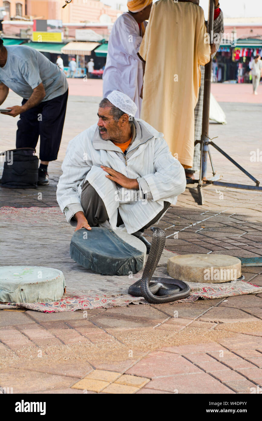 Snake charmer displays black reptile morocan snake to passing tourists a major attraction in the Old Medina square Marrakech, Morocco Stock Photo