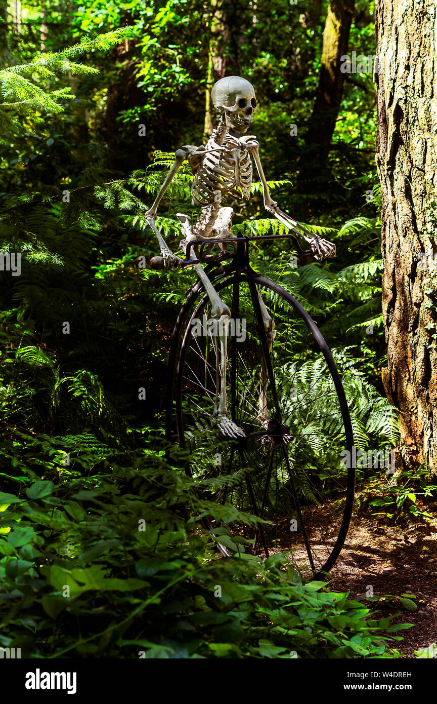 A skeleton riding on a Penny Farthing bicycle through a forest. Stock Photo