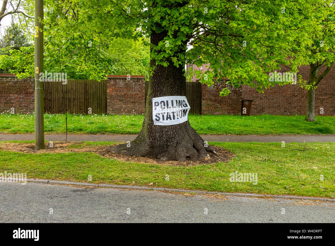 Polling station sign on tree UK Stock Photo