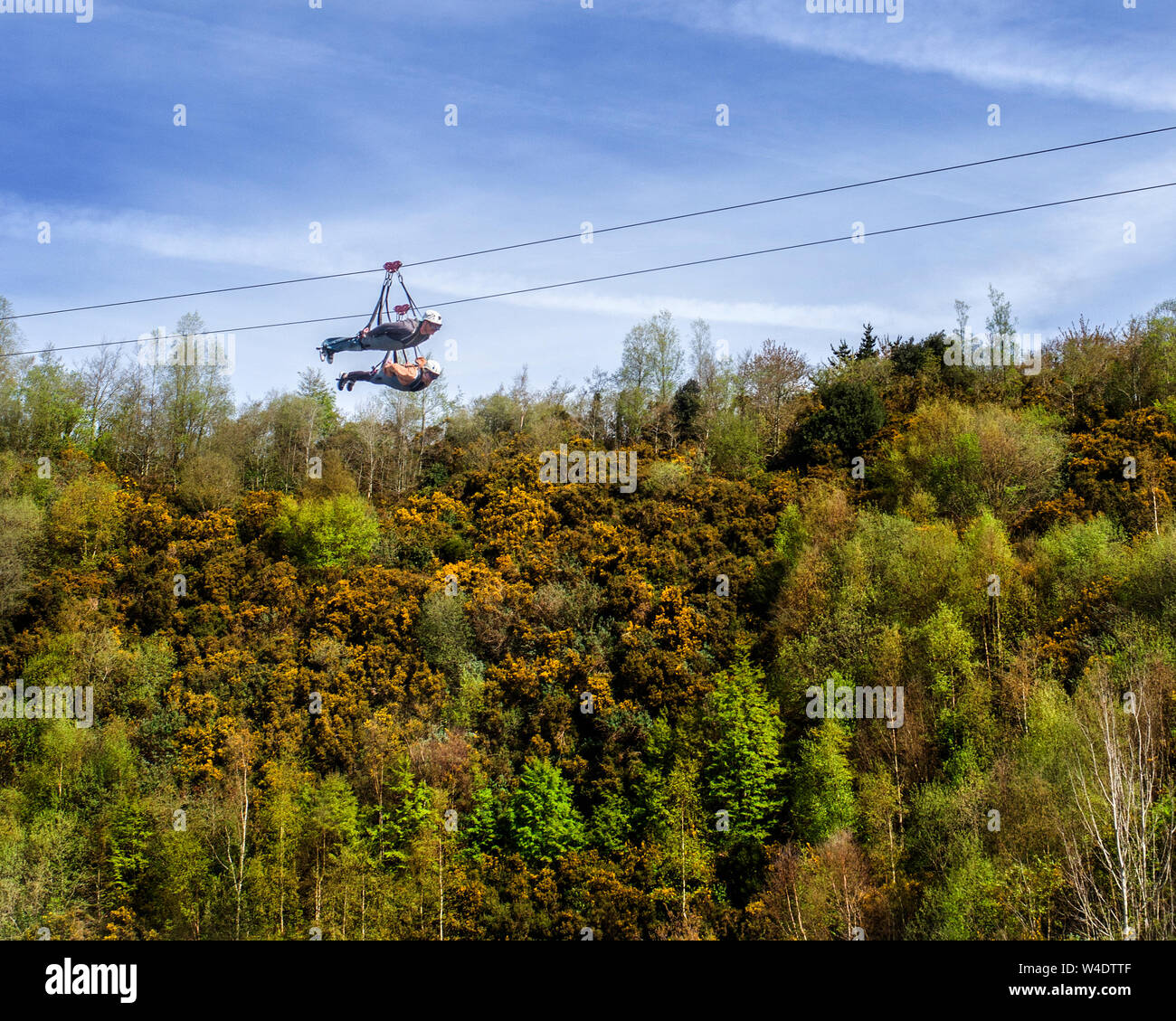 740m zip wire hires stock photography and images Alamy