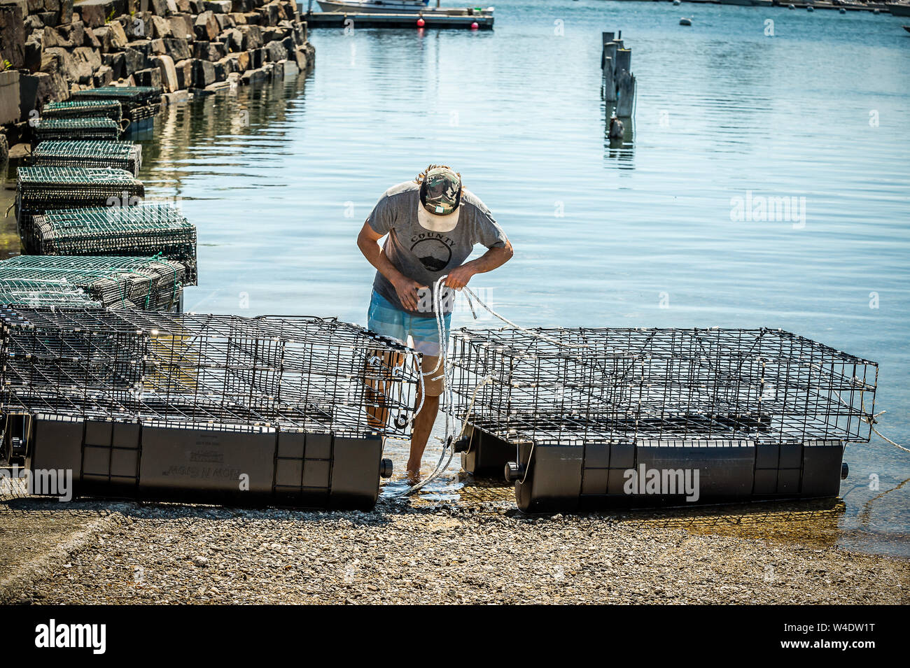 Erin Gott, is hard at work to get these Oyster Traps into the salt water river. He plans to start Oyster Farming in the river , he will be the only on Stock Photo