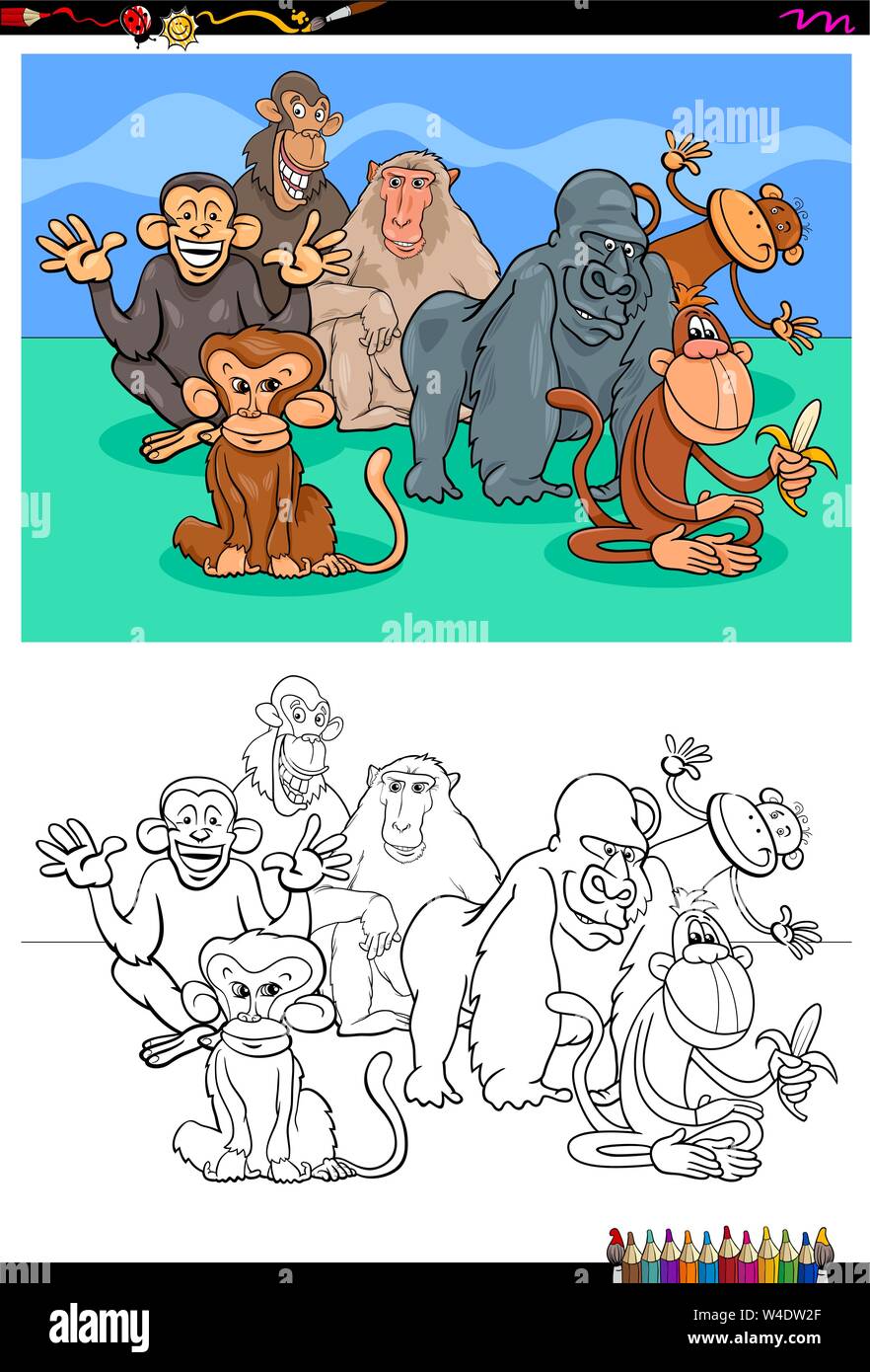 Cartoon Illustration of Funny Monkeys and Apes Animal Characters ...