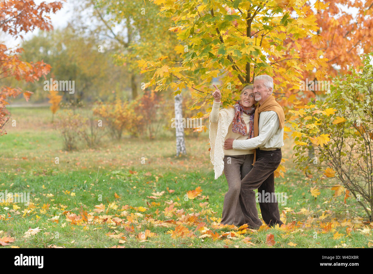 Portrait of beautiful senior couple in the park Stock Photo - Alamy