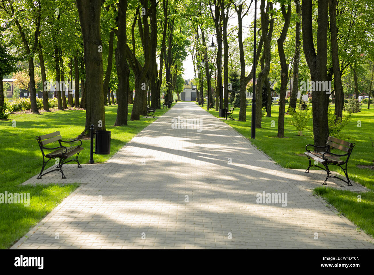 Walking path in the park. Spring blooming park with seating Stock Photo ...