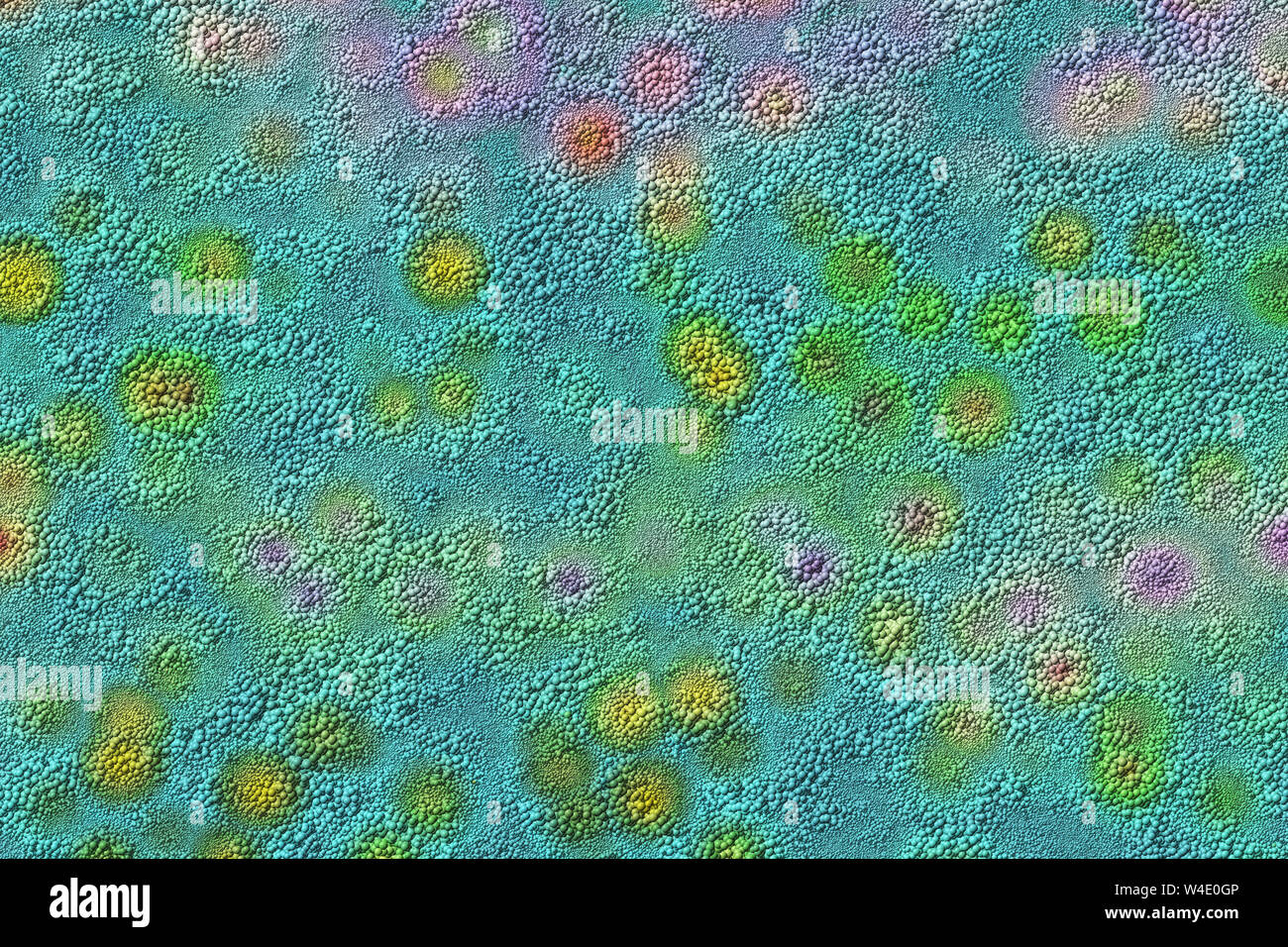 Microbiota High Resolution Stock Photography and Images - Alamy
