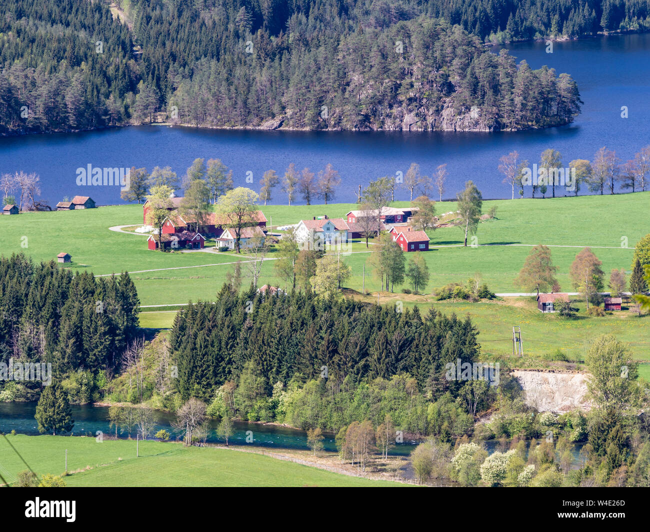 Suldal river near traditional farm buildings, famous salmon river in