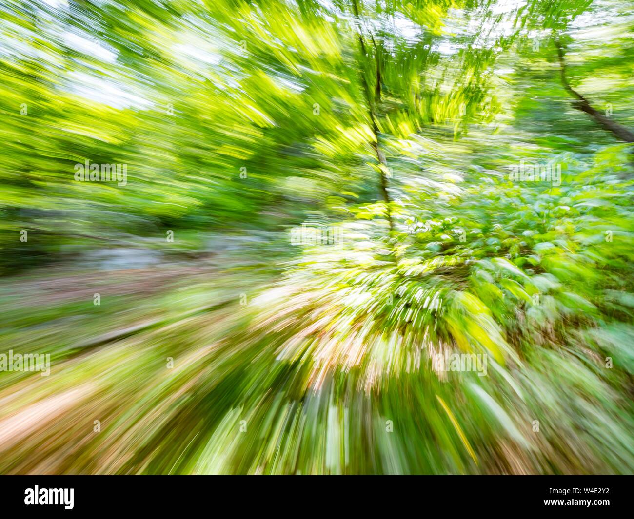 Green forest countryside speeding in curve through dense trees natural environment induced inducing vertigo motion Stock Photo