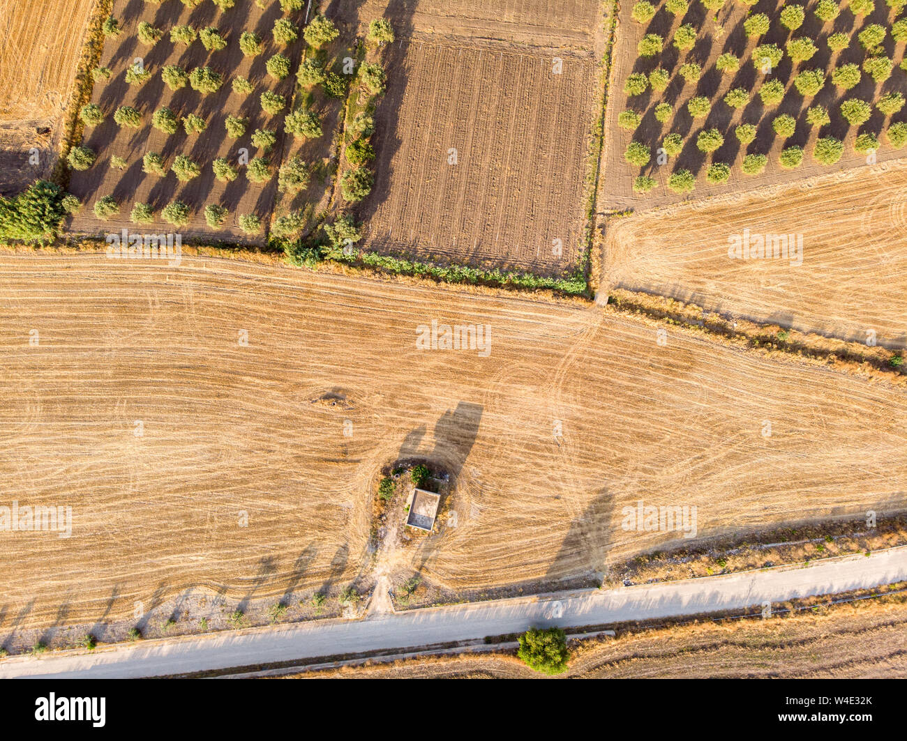 Aerial view of a rural field in the morning The shot is taken in a ...