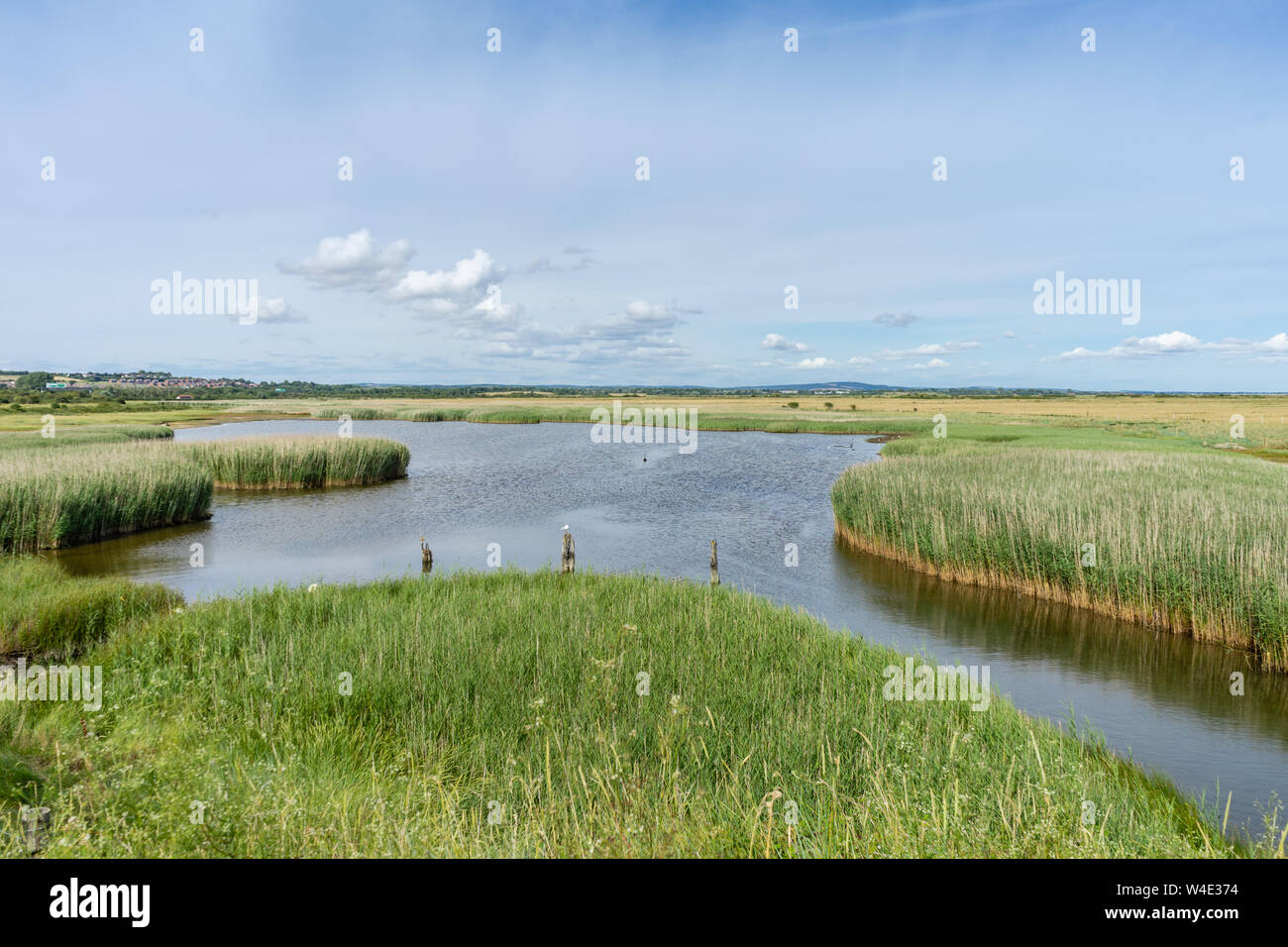 View across Farlington Marshes nature reserve along the Solent Way at Langstone harbour in Portsmouth during summer 2019, Hampshire, England, UK Stock Photo