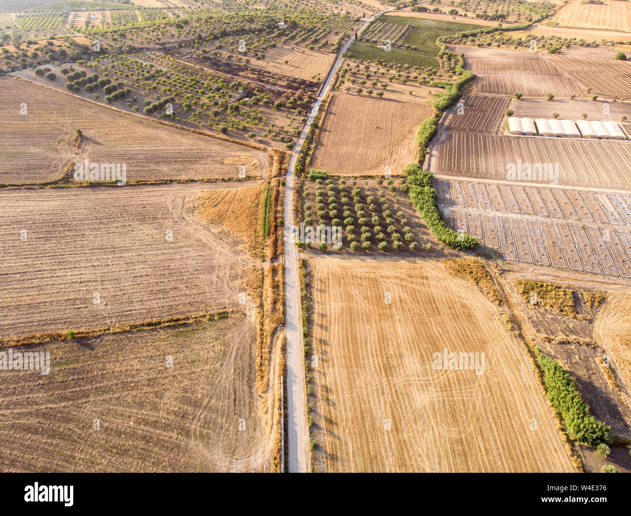 Southern Italy Rural Rural Agricultural Trees High Resolution Stock Photography and Images ...