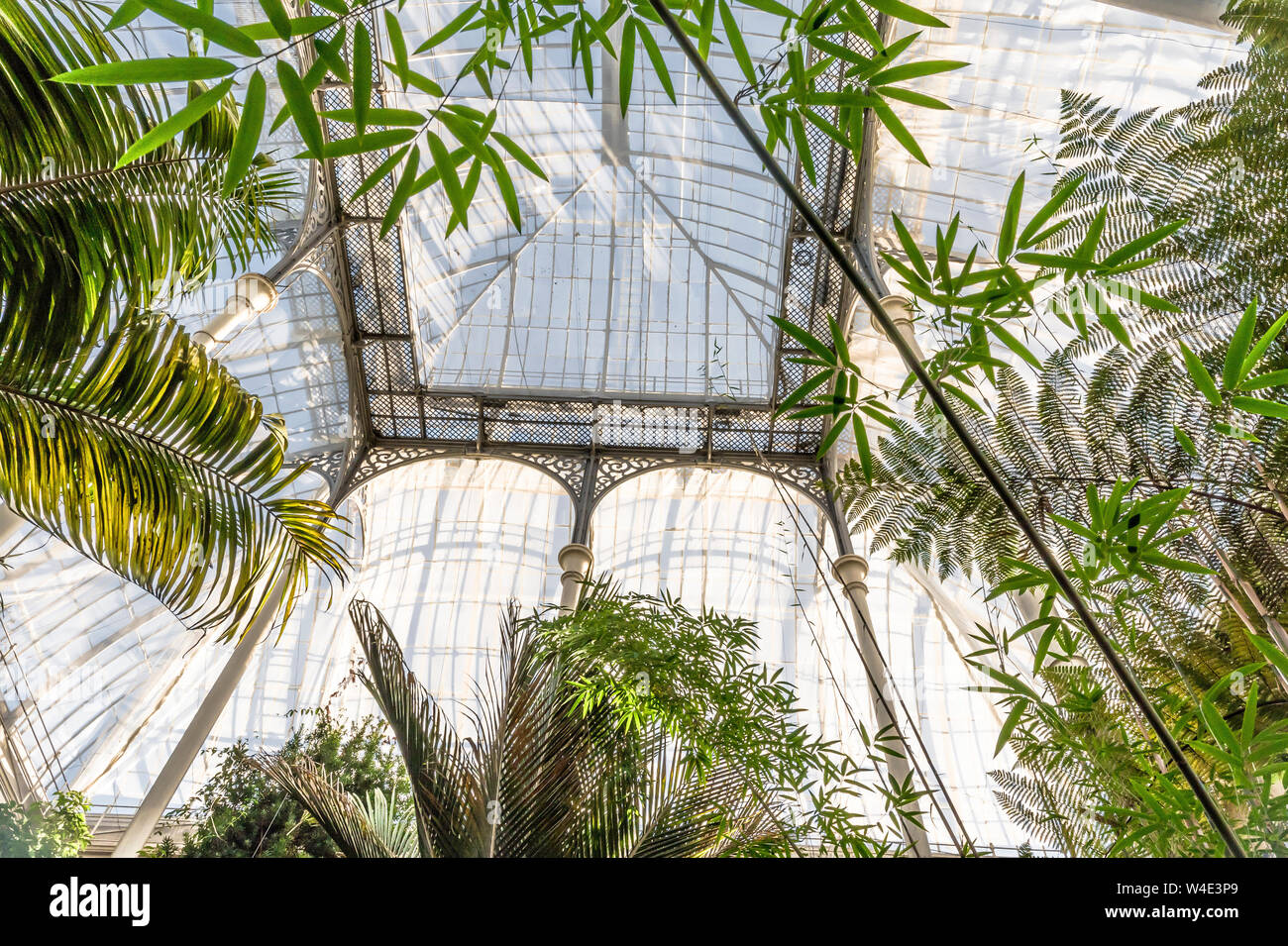 The Palm House, Royal Botanic Garden, Edinburgh Stock Photo