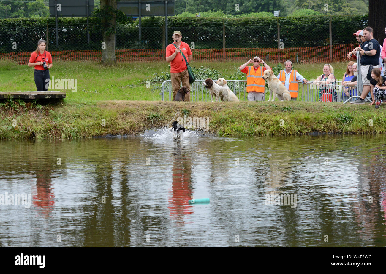 Builth Wells, Wales, 22nd July 2019. Working dogs retrieve items from