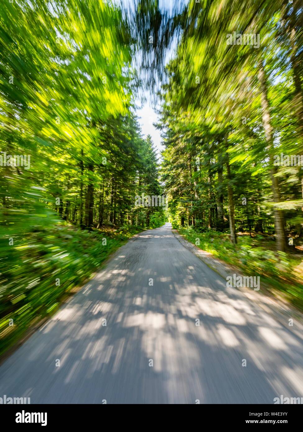 Green forest countryside speeding on road Stock Photo