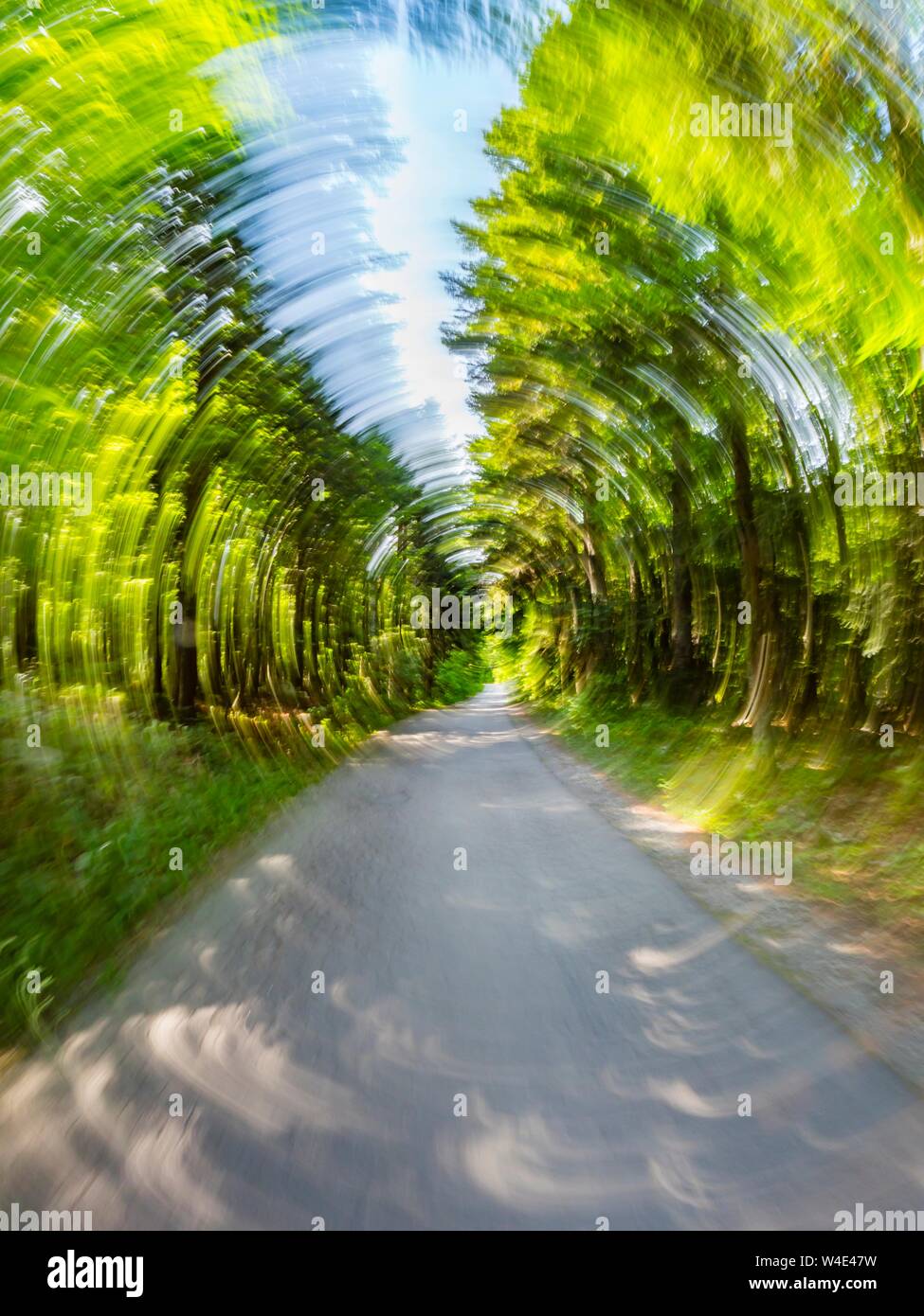 Green forest countryside speeding on road circular twirling dizzy motion Stock Photo