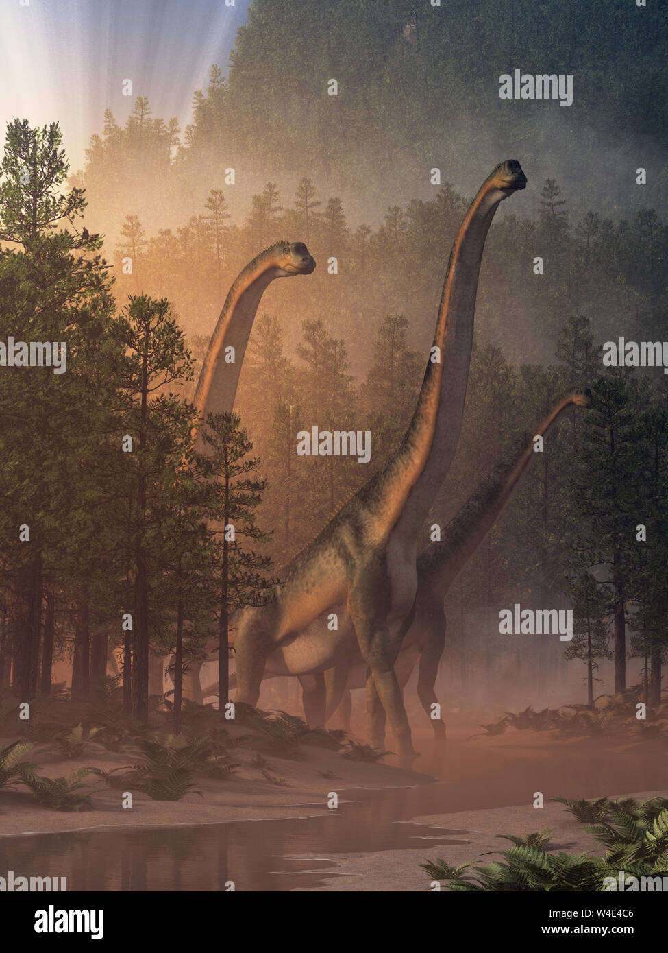 Brachiosauruses, sauropods who were the largest of the dinosaurs and the biggest type of land animal ever, wade in a shallow river in a valley. 3D Ren Stock Photo