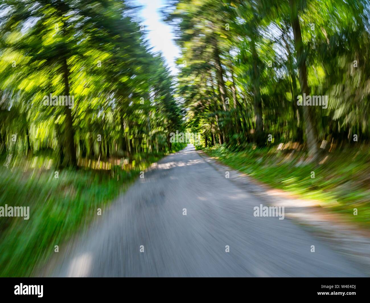 Green forest countryside speeding on road vertigo motion rotative circular Stock Photo