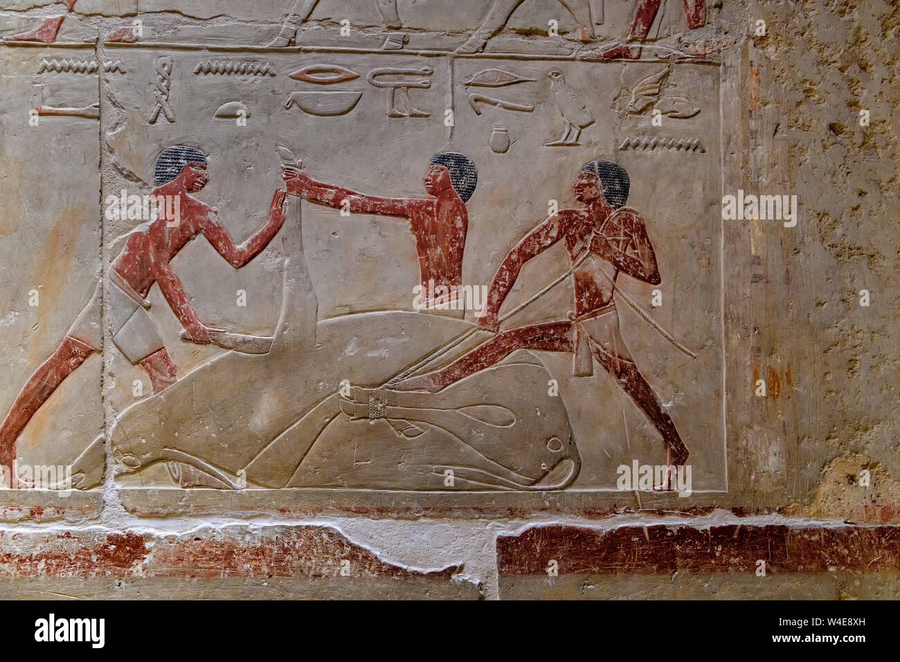 Colorful reliefs on the walls of the Kagemni Mastaba, - North of the Teti Pyramid in Saqqara, necropolis for the Ancient Egyptian capital of  Memphis Stock Photo