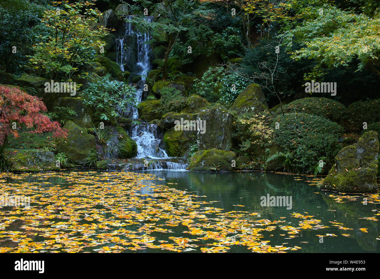 Waterfall japanese gardens portland hi-res stock photography and images ...