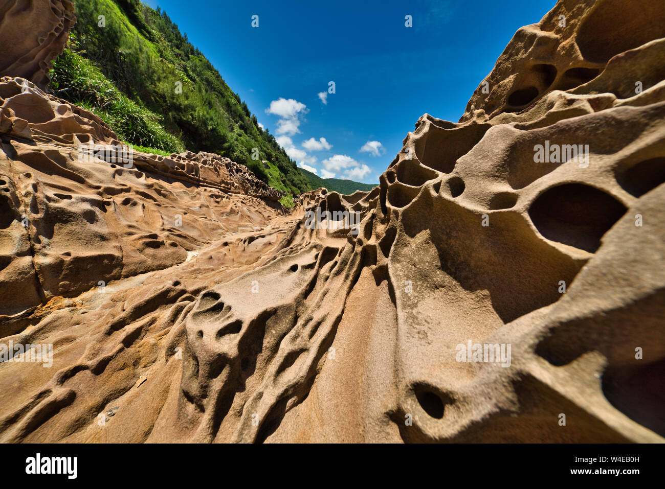 Underwater cliff deep hi-res stock photography and images - Alamy