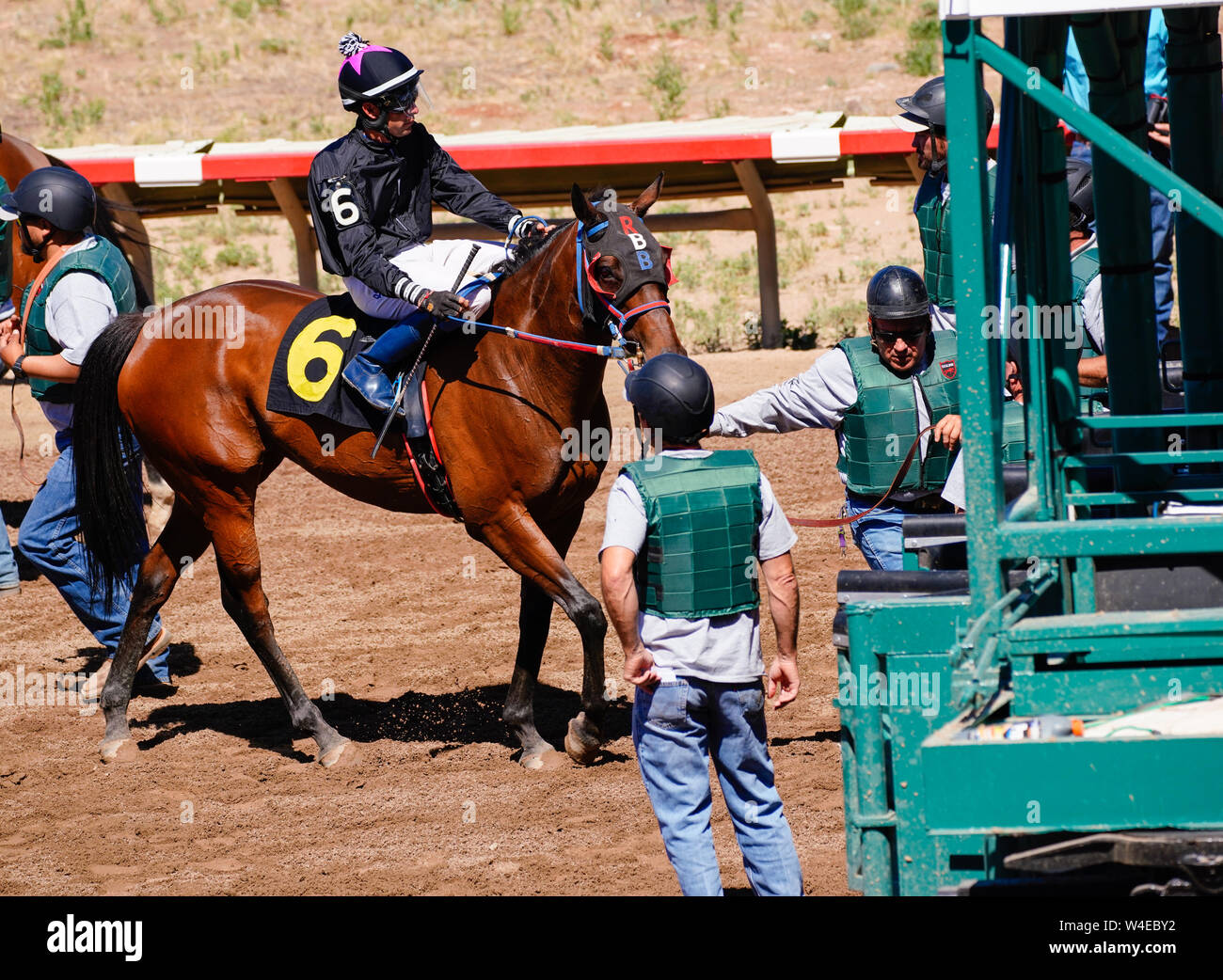 A race horse and jockey are being loaded into the starting gate. Stock Photo
