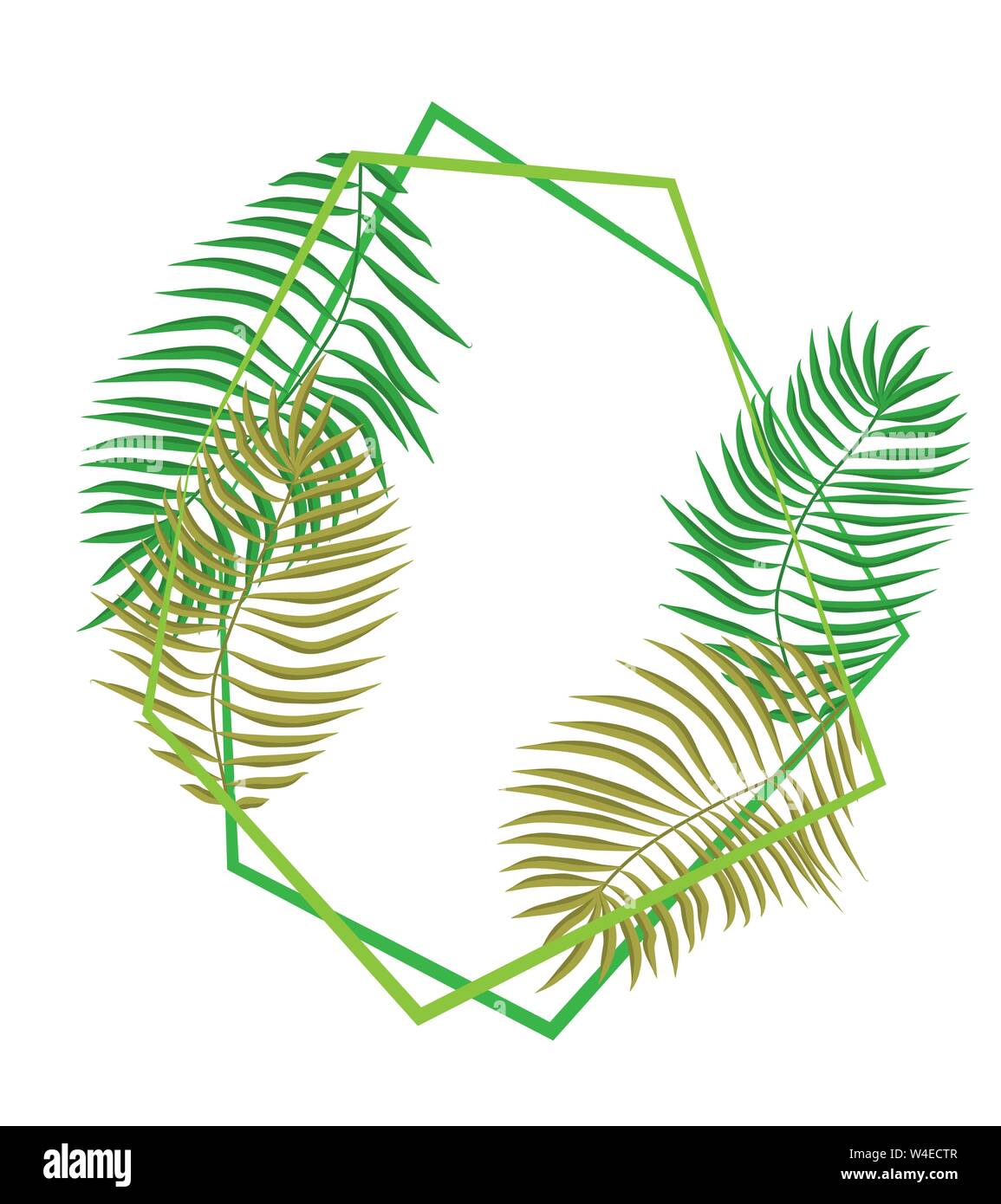 Green summer tropical background with exotic palm leaves and plants ...