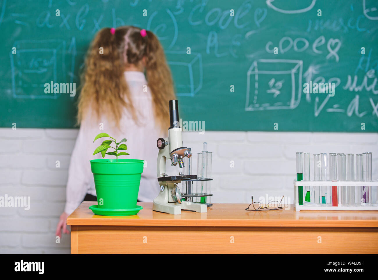 School biology lesson. Kid study biology with equipment in school