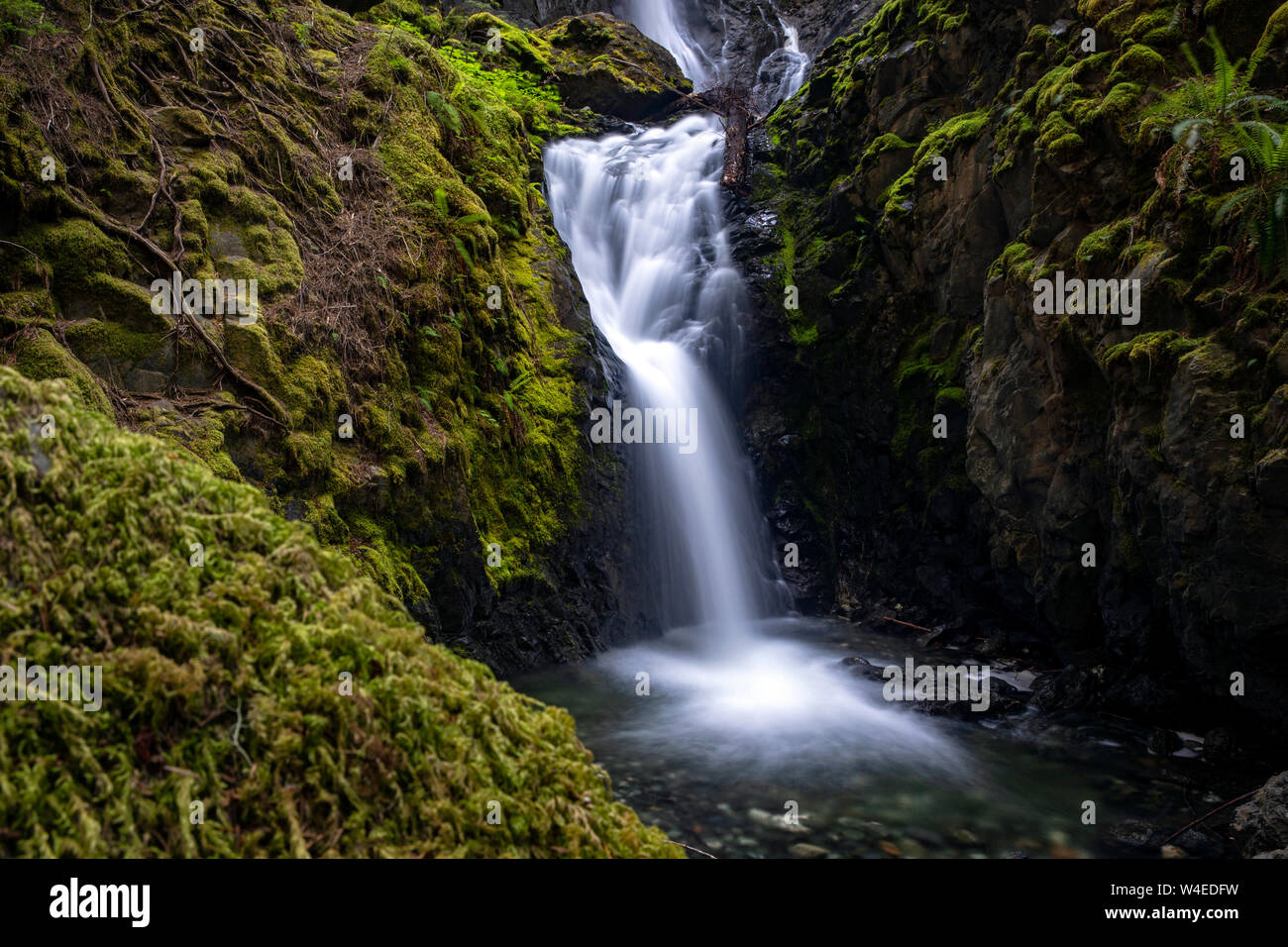 Lupin Falls - Strathcona Provincial Park, near Campbell River, Vancouver Island, British Columbia, Canada Stock Photo