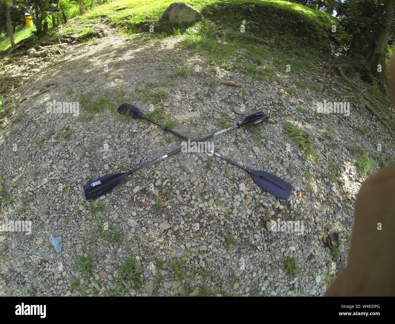 Crossed kayak paddles or oars Stock Photo Alamy