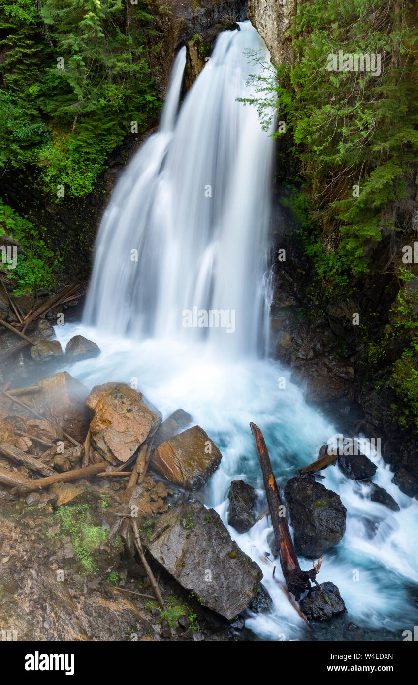 Lady Falls in Strathcona Provincial Park, near Campbell River, Vancouver Island, British Columbia, Canada Stock Photo