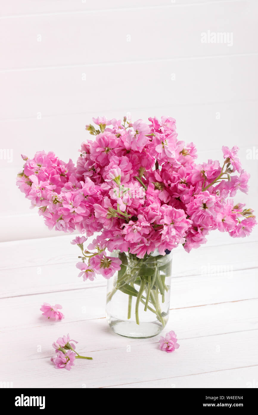 Bouquet of fragrant pink spring flowers matthiola in a vase on white wooden background vertical Stock Photo