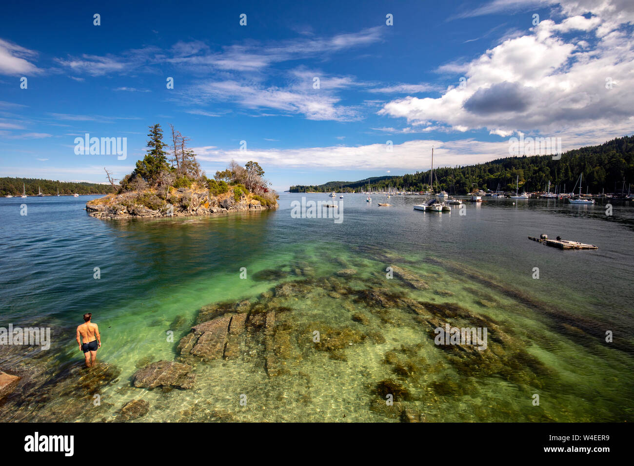 Person swimming near Grace Islet in Ganges Harbour - Salt Spring Island, British Columbia, Canada Stock Photo