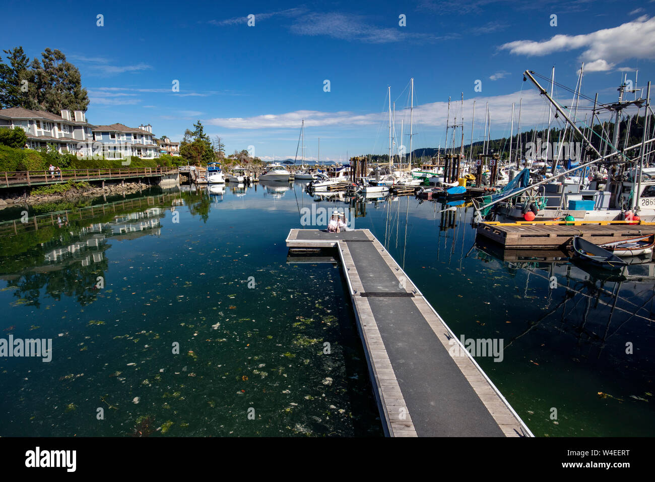 Marina in Ganges Harbour Salt Spring Island, British Columbia, Canada