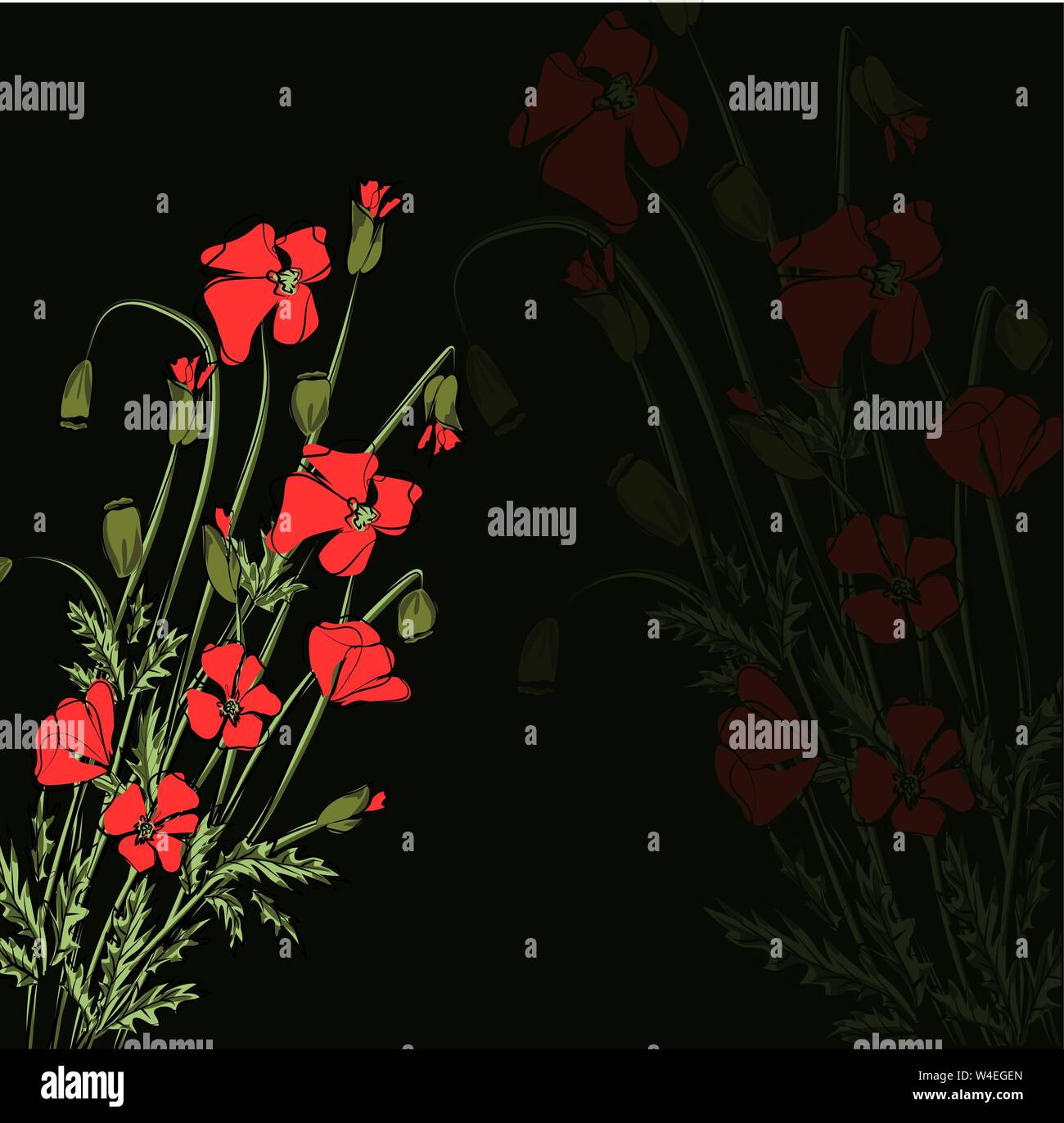 Vector illustration of bright bouquet of red poppies Stock Vector Image ...