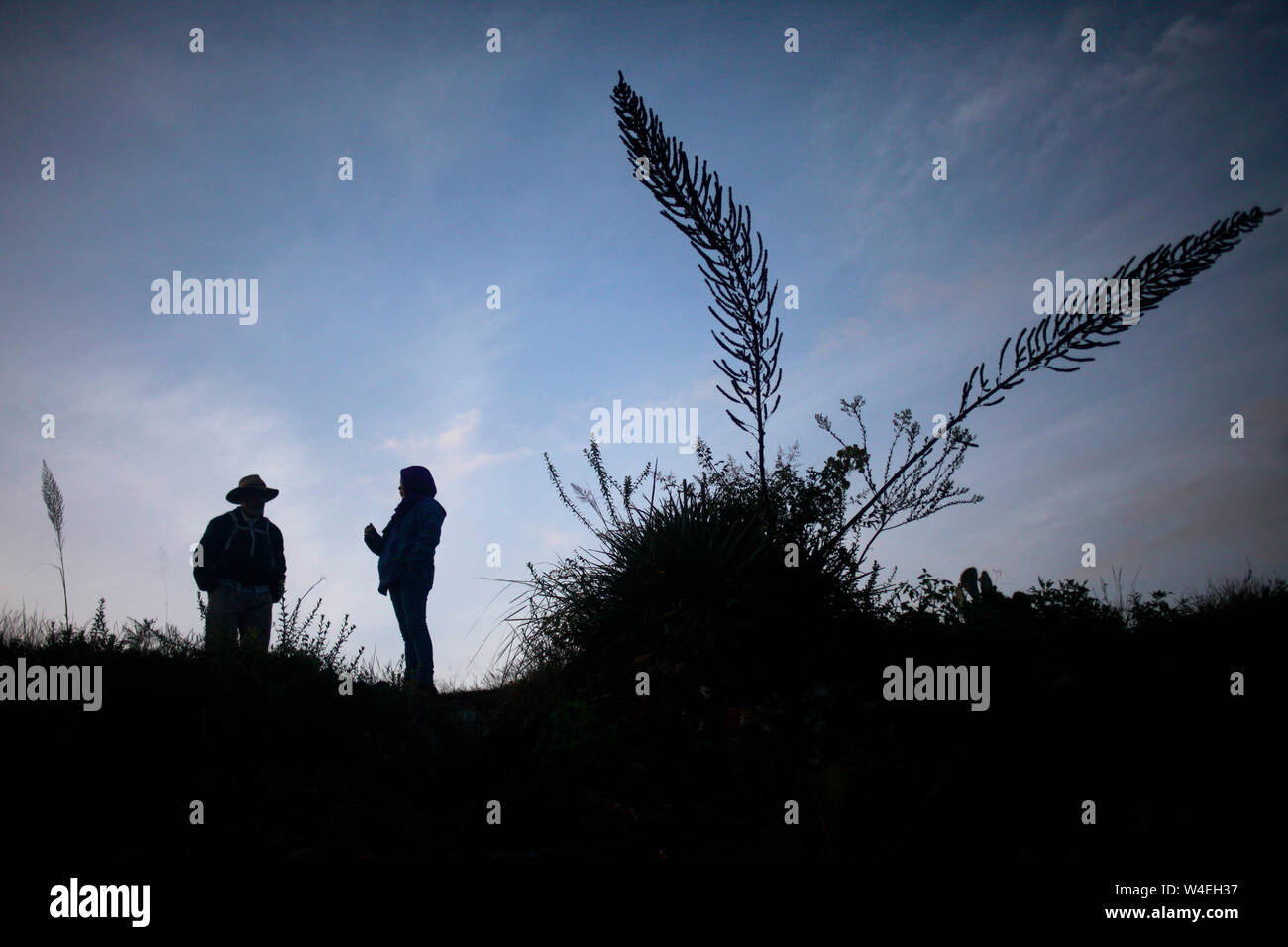 A woman speaks with a tourists guide at sunrise in Lachatao, in the Sierra Norte of Oaxaca, Mexico Stock Photo