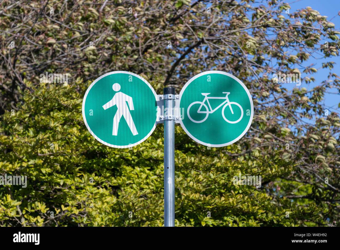 Joint walking path and bike lane sign. Stock Photo