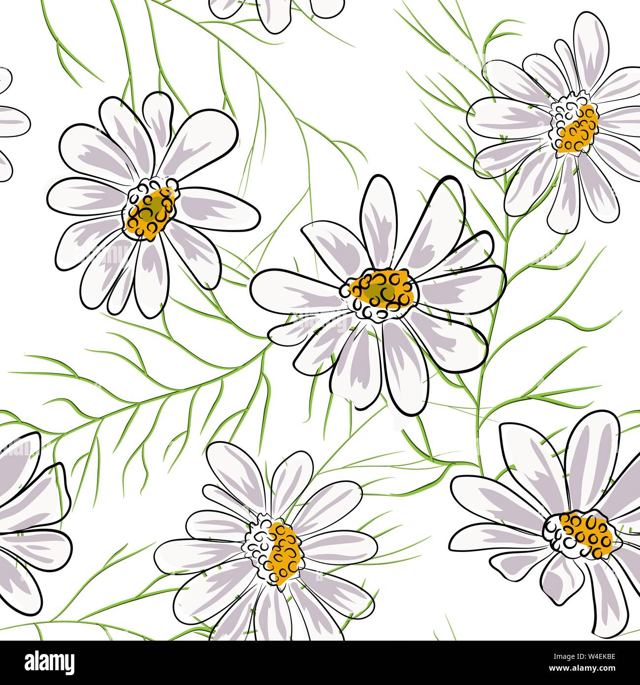 Seamless pattern with chamomile, camomile flowers on white background Stock Vector