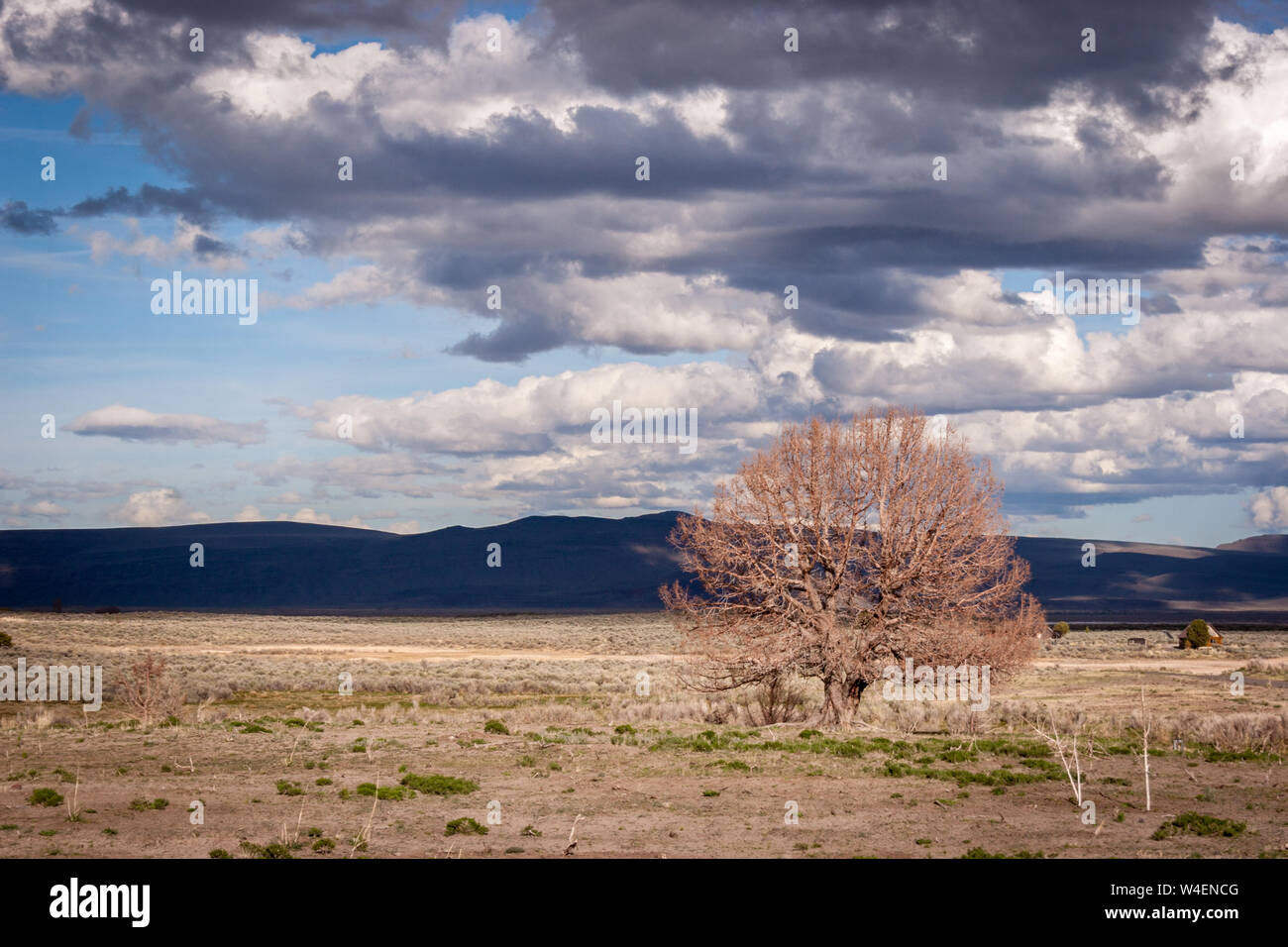 A landscape from the Great Basin in central Oregon in spring. Stock Photo