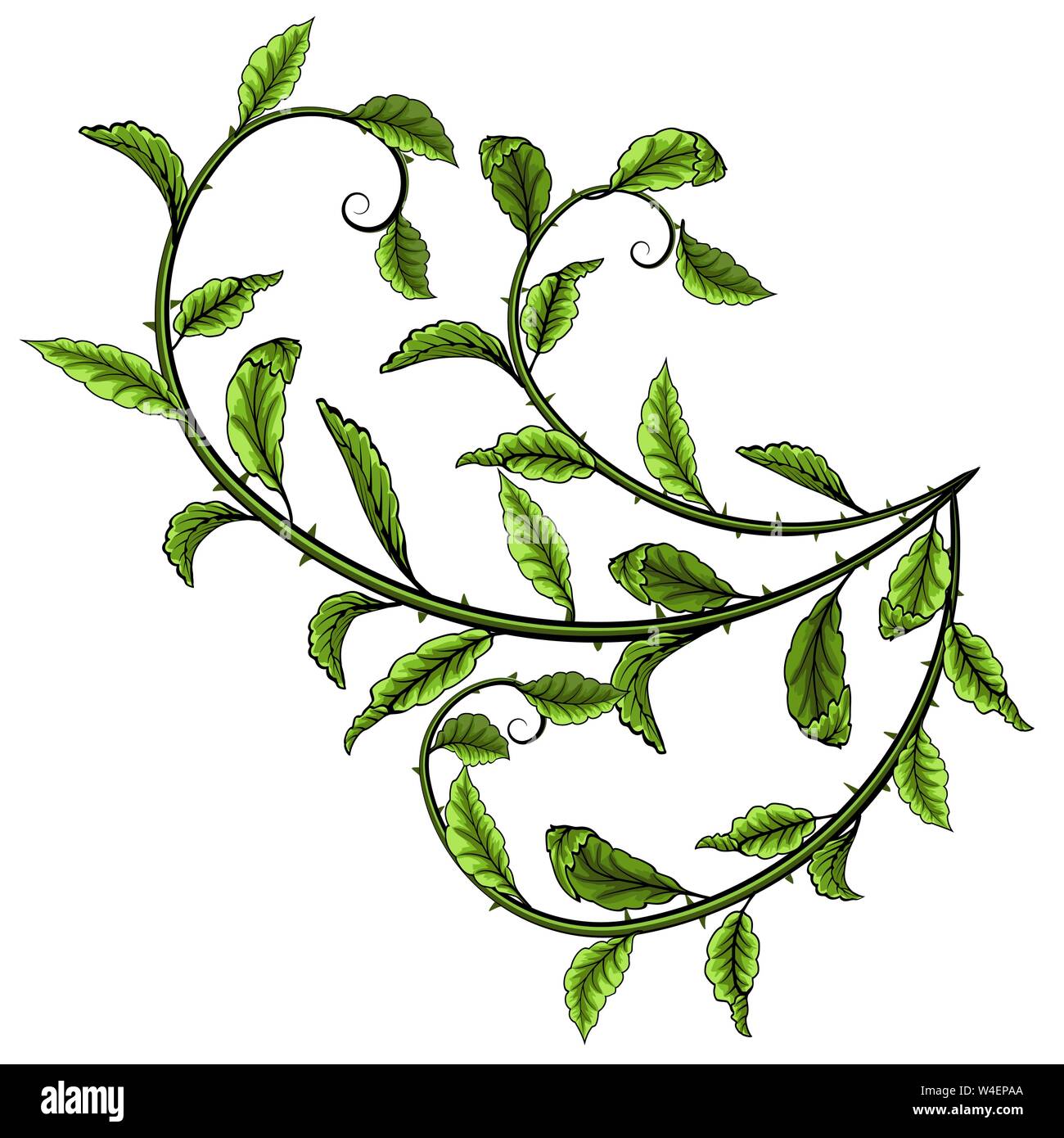Green leaves on a white background vector illustration Stock Vector ...