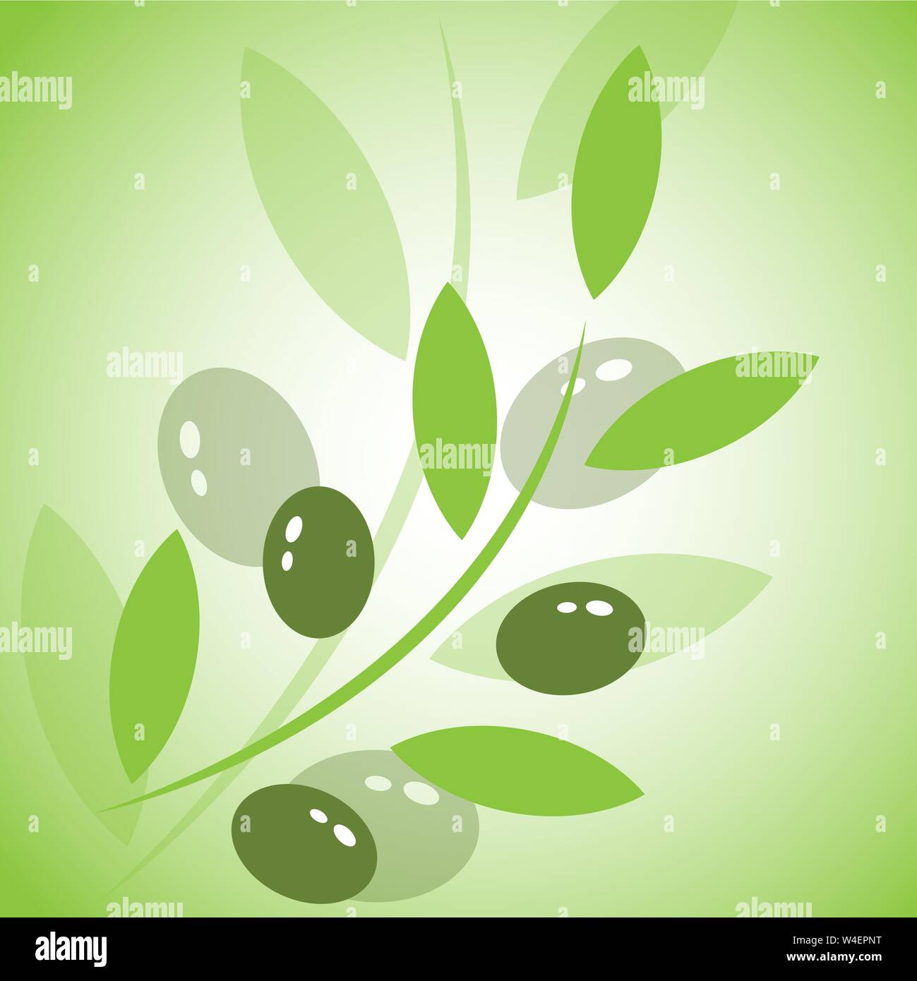 Beautiful illustration with branch of olives on white background Stock Vector