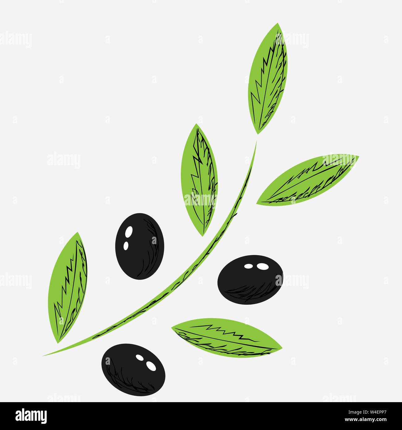 Branch of black olives in abstract style on white background Stock ...