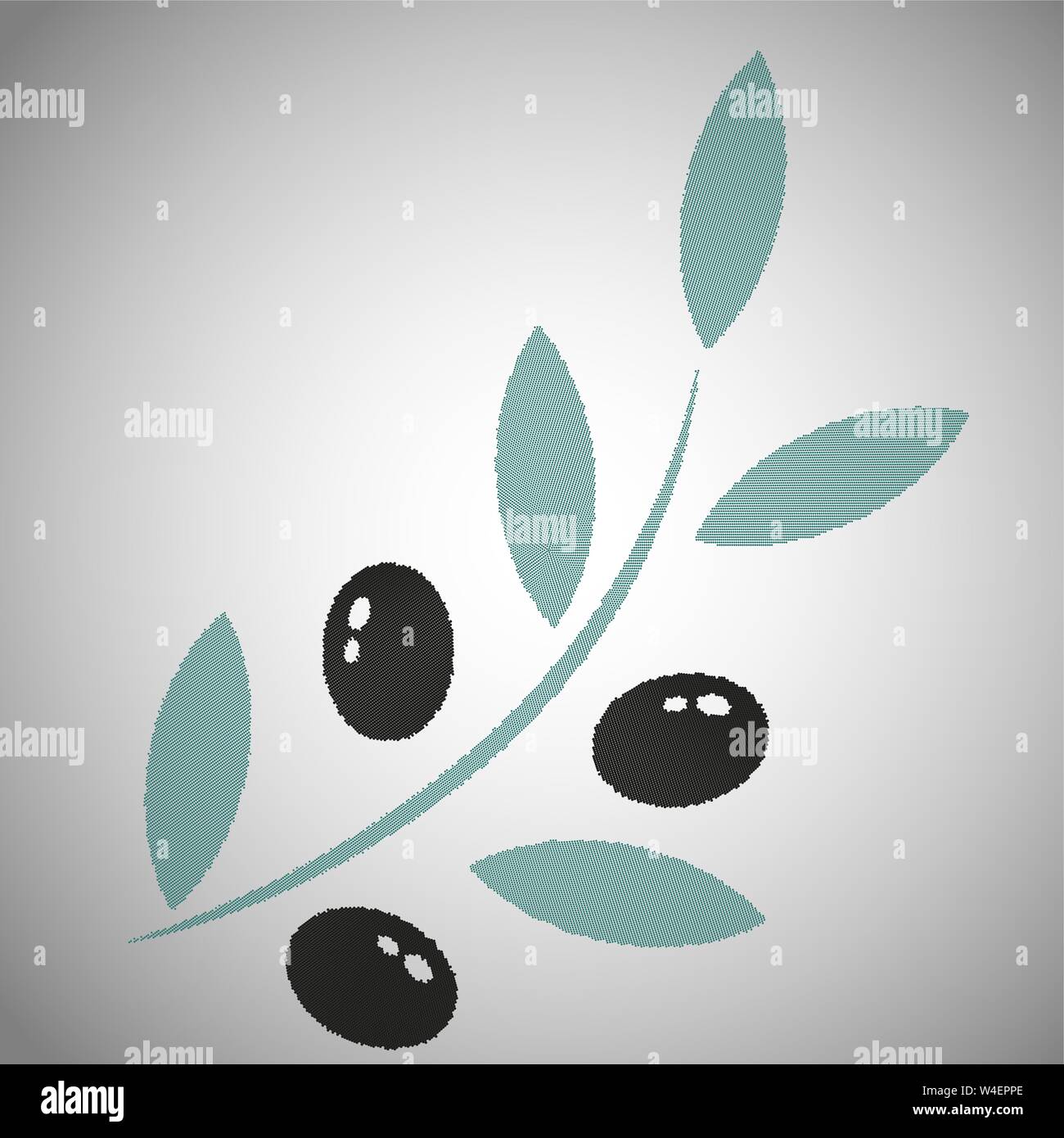 Beautiful illustration with branch of black olives on white background ...