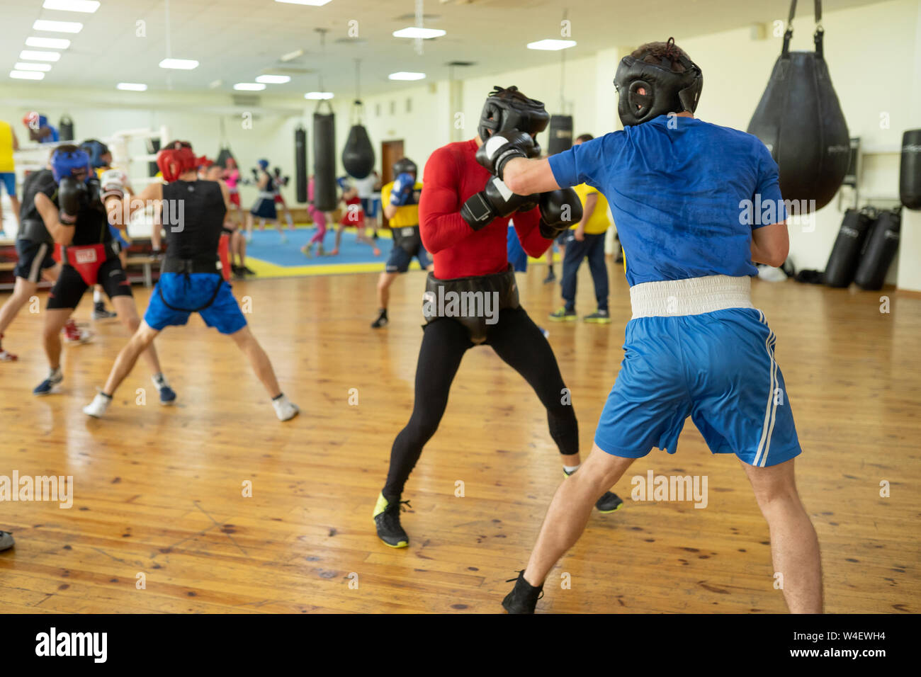 Professional boxing fighters training Stock Photo Alamy