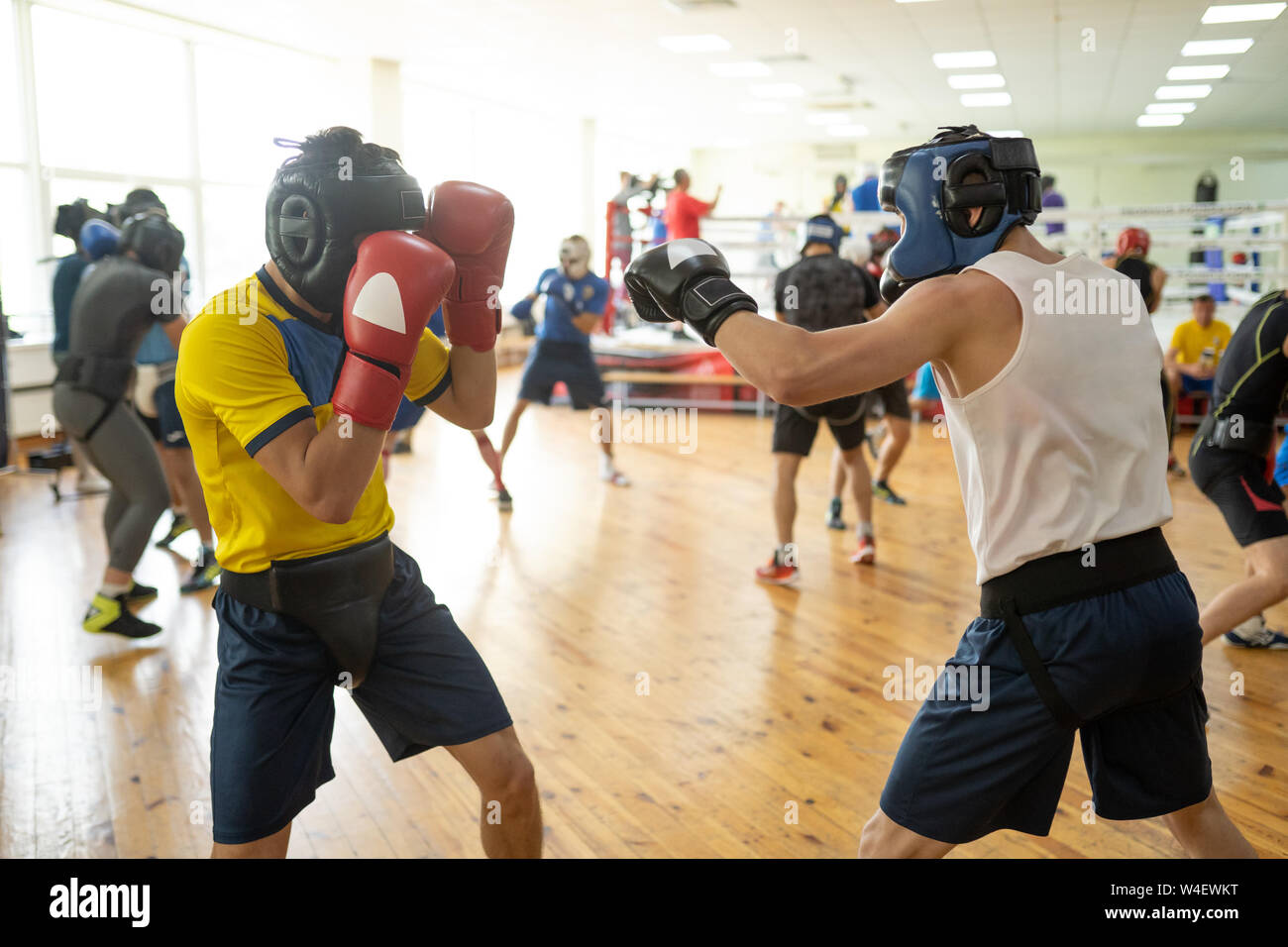 Fighters exercising with sparring partners Stock Photo Alamy