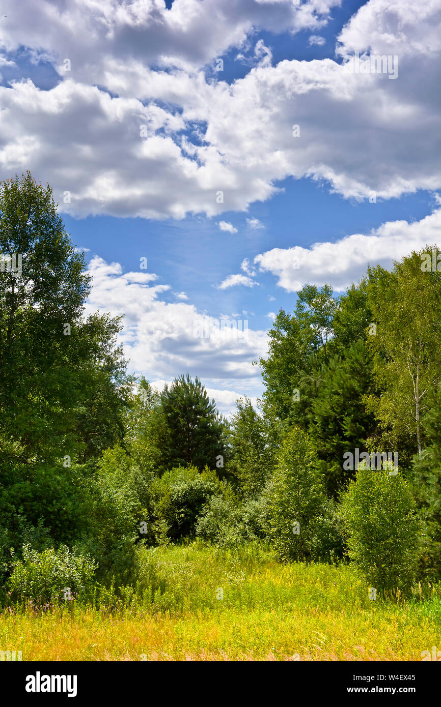 Summer landscape with clouds and trees Stock Photo - Alamy