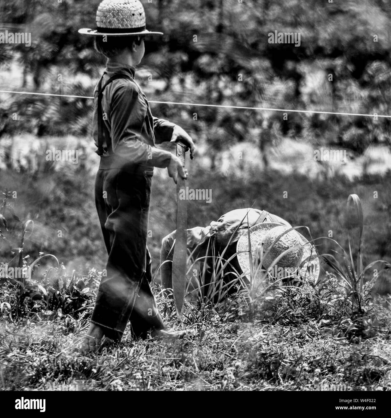 Mennonite Children High Resolution Stock Photography and Images Alamy