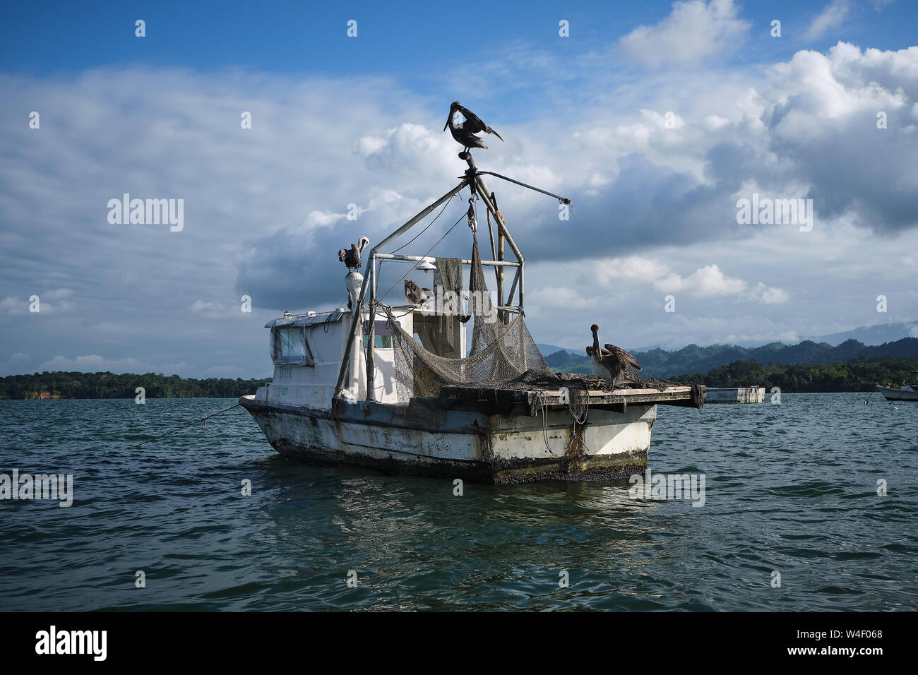 old boat with seagulls Stock Photo
